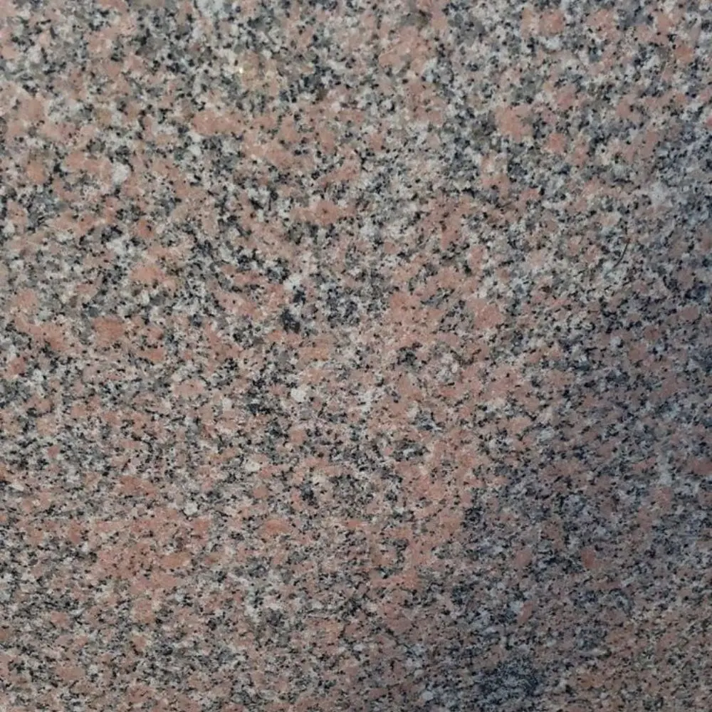 Rosa Hudi