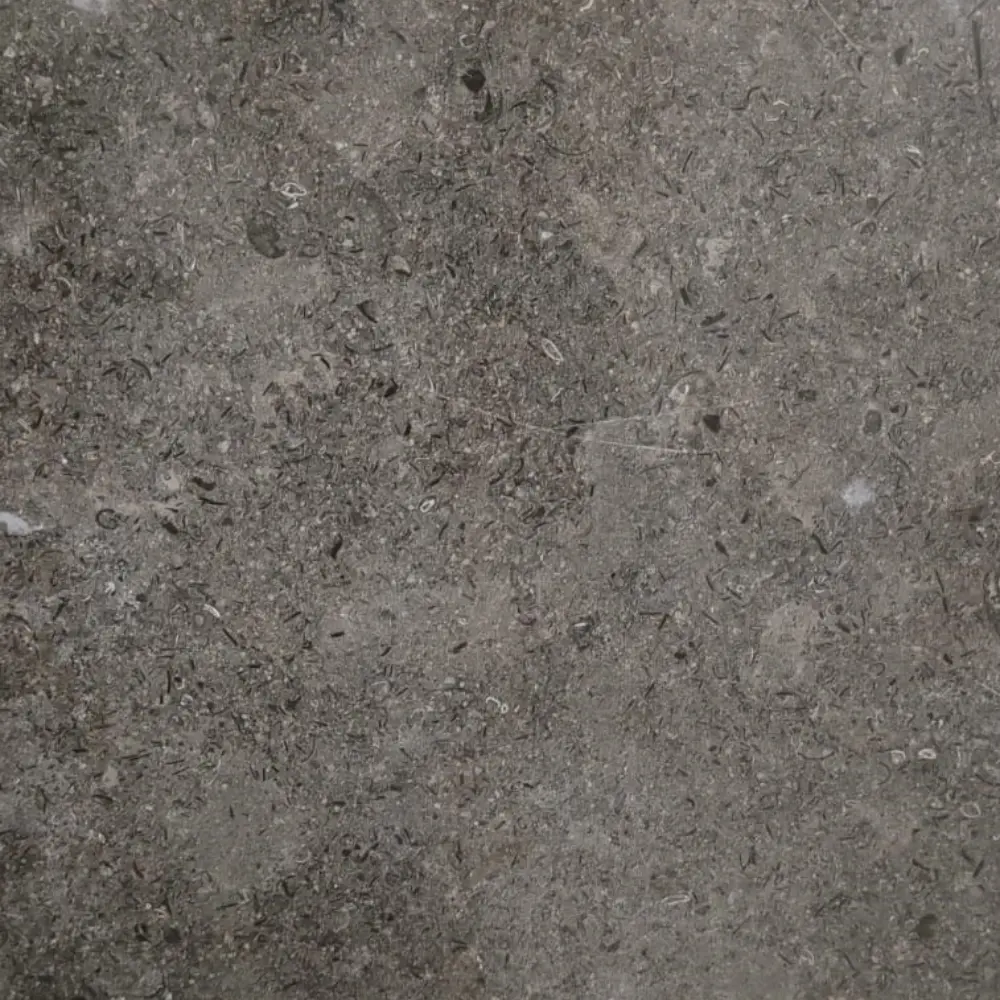 Sinai Pearl Gray